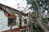 Bantwal: Heavy rains, strong winds uproot trees, roofings of houses damaged